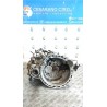 CAMBIO COMPL. 072 DR DR5 (12/07-) SQR481F NB0364155001001