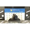 COMPRESSORE A/C 012 KIA SPORTAGE 1A SERIE (01/97-11/00 FE NB0576075002013