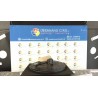 BLOCCO COMANDO VOLANTE LUCI 018 BMW SERIE 3 (E46) (09/01-09/05) 204D4 61318363662