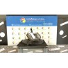 PROIETTORE FENDINEBBIA DX. 104 PEUGEOT 306 (01/97-04/02) NFZ 6205Q9