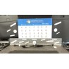 SCATOLA STERZO 023 FIAT CINQUECENTO (NM) (06/92-01/99 1170A1046 7649109