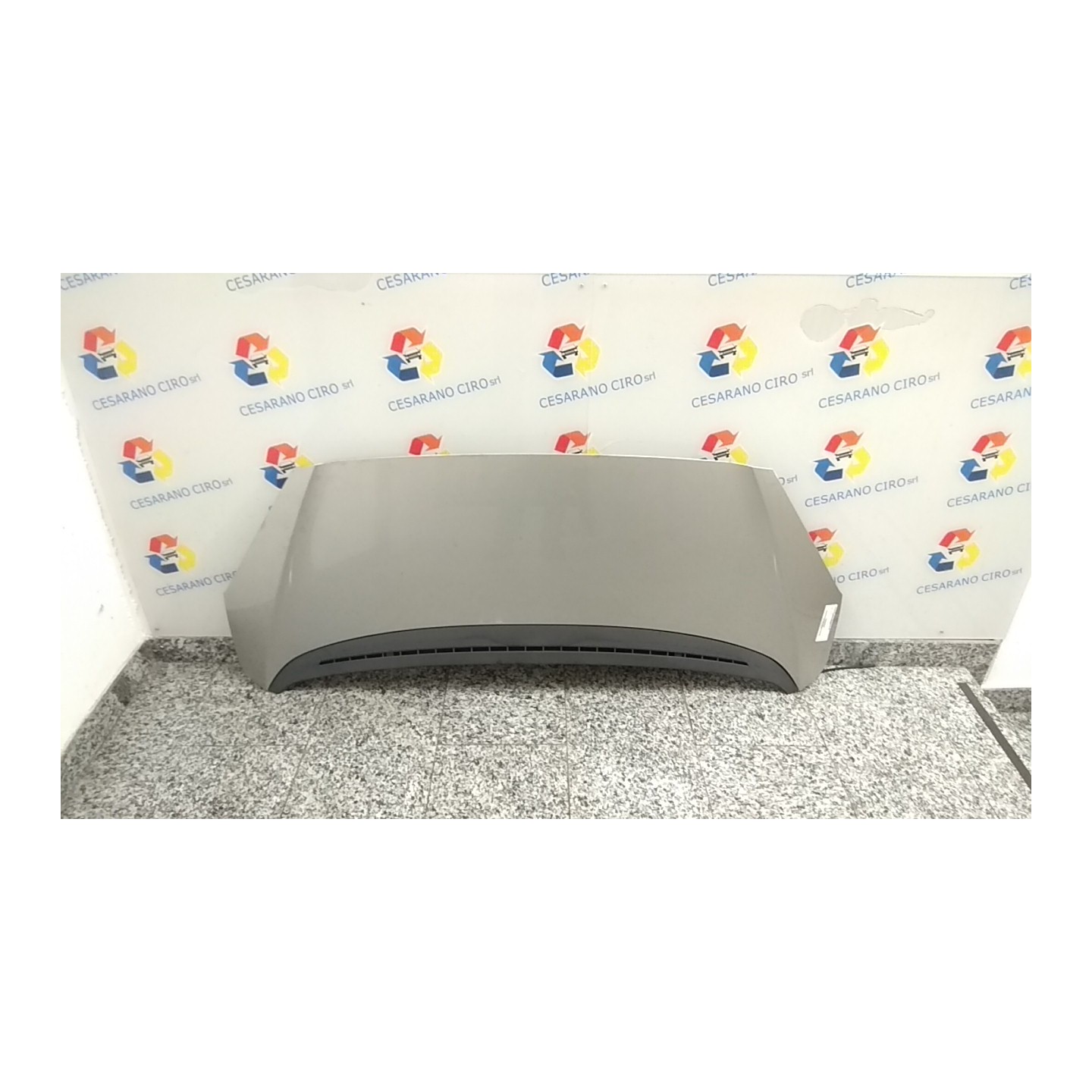 COFANO ANT. 089 PEUGEOT 1007 (04/05-06/10) 8HZ 7901Q5