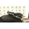 DISPOSITIVO AIRBAG A TENDINA SX. 022 FIAT 500 (3P) (07/07-01/15) 169A4000 51782981