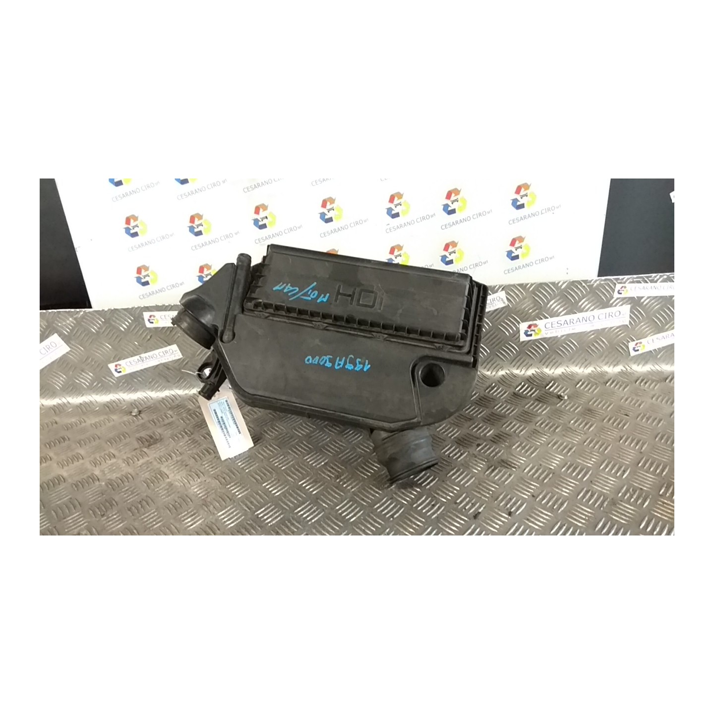 FILTRO ARIA COMPL. 017 PEUGEOT BIPPER VAN (A9) (10/07-) 199A9000 1613685080