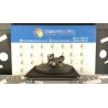 MOTORINO AVVIAMENTO 037 MINI MINI (R50/R53) (07/01-07/06) W10B16A 12417570487