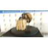 POMPA CARBURANTE C/TRASDUTTORE (GALLEGGIANTE) 095 DAIHATSU TREVIS (05/06-) EJ 23210B2010