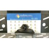 ALTERNATORE 106 FIAT SEDICI (3B) (02/06-11/11) D19AA 73501591