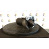 MOTORINO AVVIAMENTO 050 DACIA LOGAN (11/05-10/08) K7MF7 6001549062