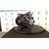 COMPRESSORE A/C 046 NISSAN MICRA (K12E) (11/02-05/06) K9K 92600BN700