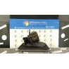 COMPRESSORE A/C 011 JAGUAR S-TYPE (X200) (01/99-06/02) FB NB0576009014001