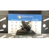 SERVOFRENO 075 RENAULT CLIO 3A SERIE (07/05-05/09) D4FD7 7701208837