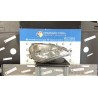 PROIETTORE DX. 026 MERCEDES-BENZ CLASSE A (W168) (10/97-02/01) 166960 A1688201061