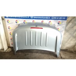 COFANO POST. 100 PEUGEOT 206 (09/98-06/09) RFN 860677