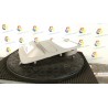 LUCE CORTESIA ANT. TETTO EAG/EAS/EA2/E3T 106 RENAULT CLIO 4A SERIE (06/16-12/2019) D4FD7 264305143R