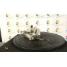 SERRATURA PORTA ANT. DX. 020 LANCIA DELTA (11/97-12/01) 182A4000 46417127