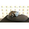 MOTORINO AVVIAMENTO VALEO 153 MERCEDES-BENZ CLASSE A (W/C169) (07/04-04/13 266920 A0061510301
