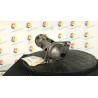 MOTORINO AVVIAMENTO 043 OPEL ASTRA (T98) (03/98-09/04) Z16XEP 93176056