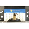 POMPA CARBURANTE C/TRASDUTTORE (GALLEGGIANTE) 057 CHEVROLET (DAEWOO) KALOS (T200) (09/02-01/05) F14S3 96476117