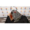 COMPRESSORE A/C 022 LANCIA MUSA (TG) (07/04-06/08) 843A1000 51747318
