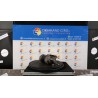 MOTORINO AVVIAMENTO 1,2KW BAT 60AH 088 FIAT SEDICI (3B) (02/06-11/11) M16A 71750026