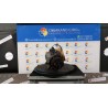 COMPRESSORE A/C 089 FIAT SEDICI (3B) (02/06-11/11) M16A 71743779