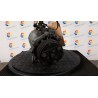 COMPRESSORE A/C 089 FIAT SEDICI (3B) (02/06-11/11) M16A 71743779
