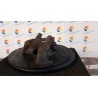 COLLETTORE SCARICO 060 HYUNDAI IX35 (02/10-) D4FD 285112A740