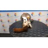 POMPA CARBURANTE C/TRASDUTTORE (GALLEGGIANTE) 083 FORD KA (CCQ) (11/96-10/08) A9A 1542745