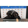 AMMORTIZZATORE ANT. SX. 072 FIAT 500 (3P) (07/07-01/15) 199B1000 51862433