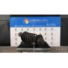 AMMORTIZZATORE ANT. SX. 080 SEAT IBIZA (6K) (05/93-12/01) AUD 6K0413031E