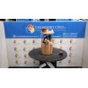 POMPA CARBURANTE C/TRASDUTTORE (GALLEGGIANTE) 022 ALFA ROMEO 147 (W8) (08/00-01/06) AR37203 51700804