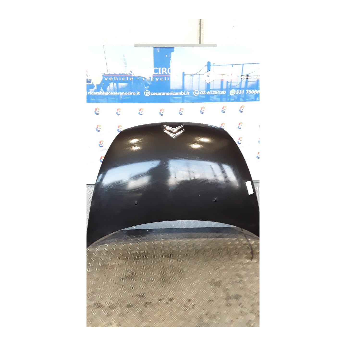 COFANO ANT. 088 CITROEN C3 PLURIEL (05/03-11/10) 8HZ 7901K4