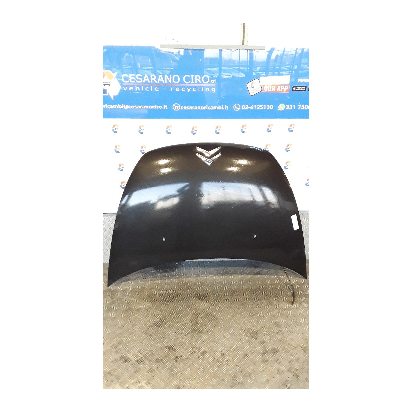 COFANO ANT. 088 CITROEN C3 PLURIEL (05/03-11/10) 8HZ 7901K4