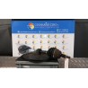 SEMIALBERO ANT. COMPL. DX. 029 VOLKSWAGEN NEW BEETLE (1C) (02/99-) AQY 1J0407272NN