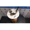 POMPA CARBURANTE C/TRASDUTTORE (GALLEGGIANTE) 026 TOYOTA PRIUS 2A SERIE (02/04-06/10) 1NZFXE 7702047041