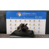 TURBOCOMPRESSORE ROTAZ. 046 RENAULT MEGANE 3A SERIE (10/08-) F9QN8 7711497406