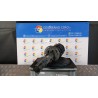 AMMORTIZZATORE ANT. SX. 096 VOLKSWAGEN POLO (9N) (04/05-) BWB 6Q0413031CE