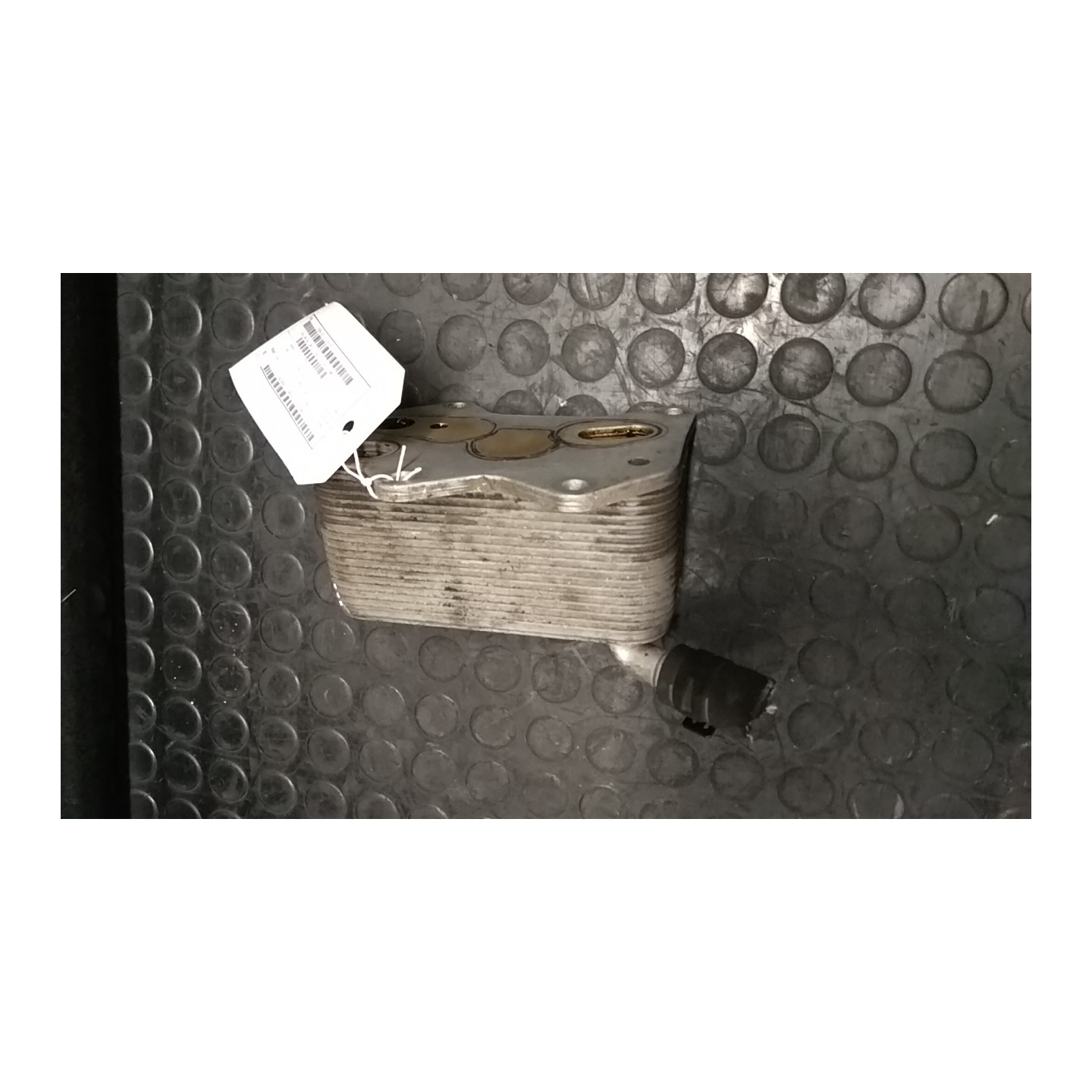 SCAMBIATORE CALORE OLIO MOTORE 039 VOLKSWAGEN GOLF (1K) (10/03-12/09) AXX 06D117021C