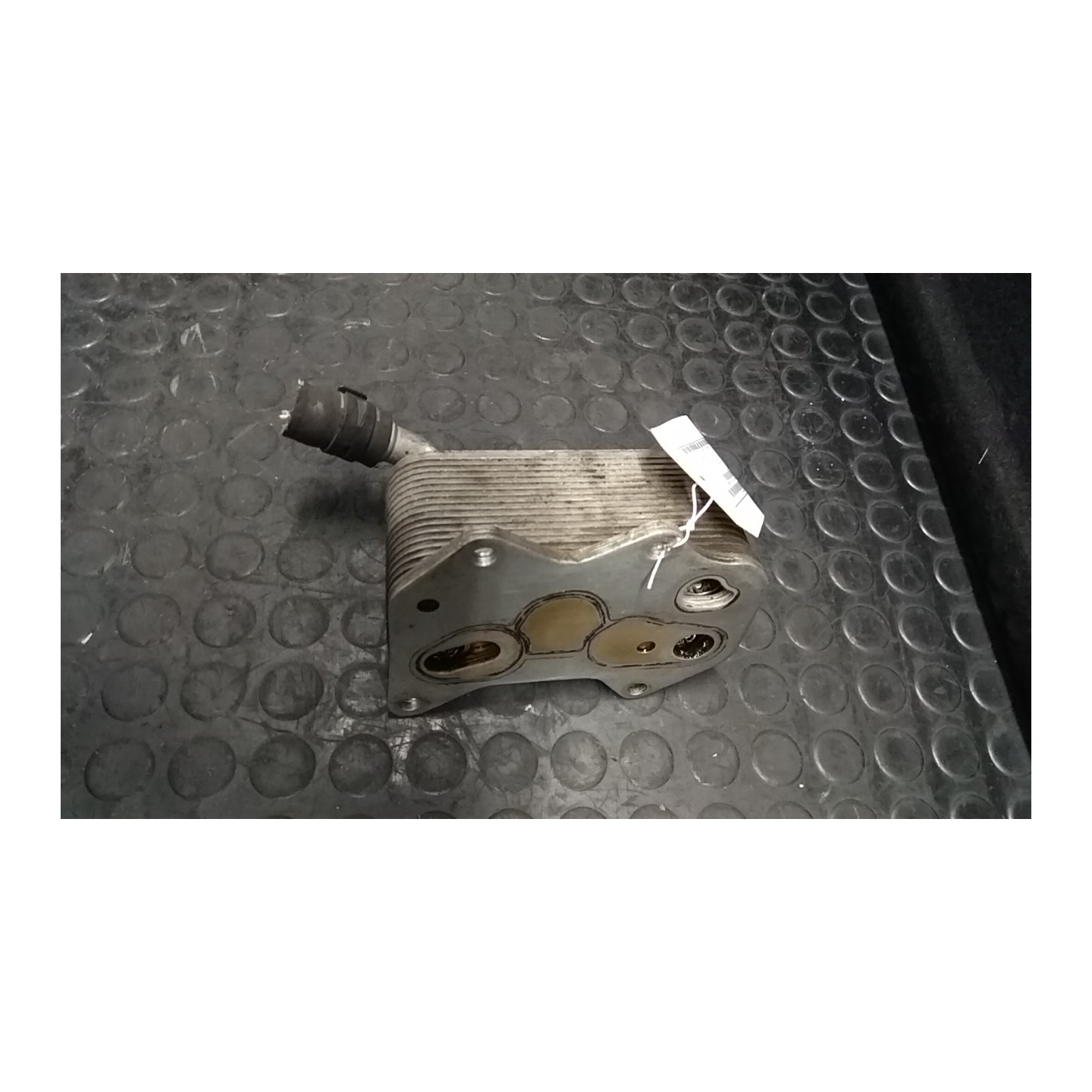SCAMBIATORE CALORE OLIO MOTORE 039 VOLKSWAGEN GOLF (1K) (10/03-12/09) AXX 06D117021C