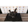 MONTANTE SOSP. ANT. SX. 191 DAIHATSU CUORE (09/07-) 1KR 43212B2040