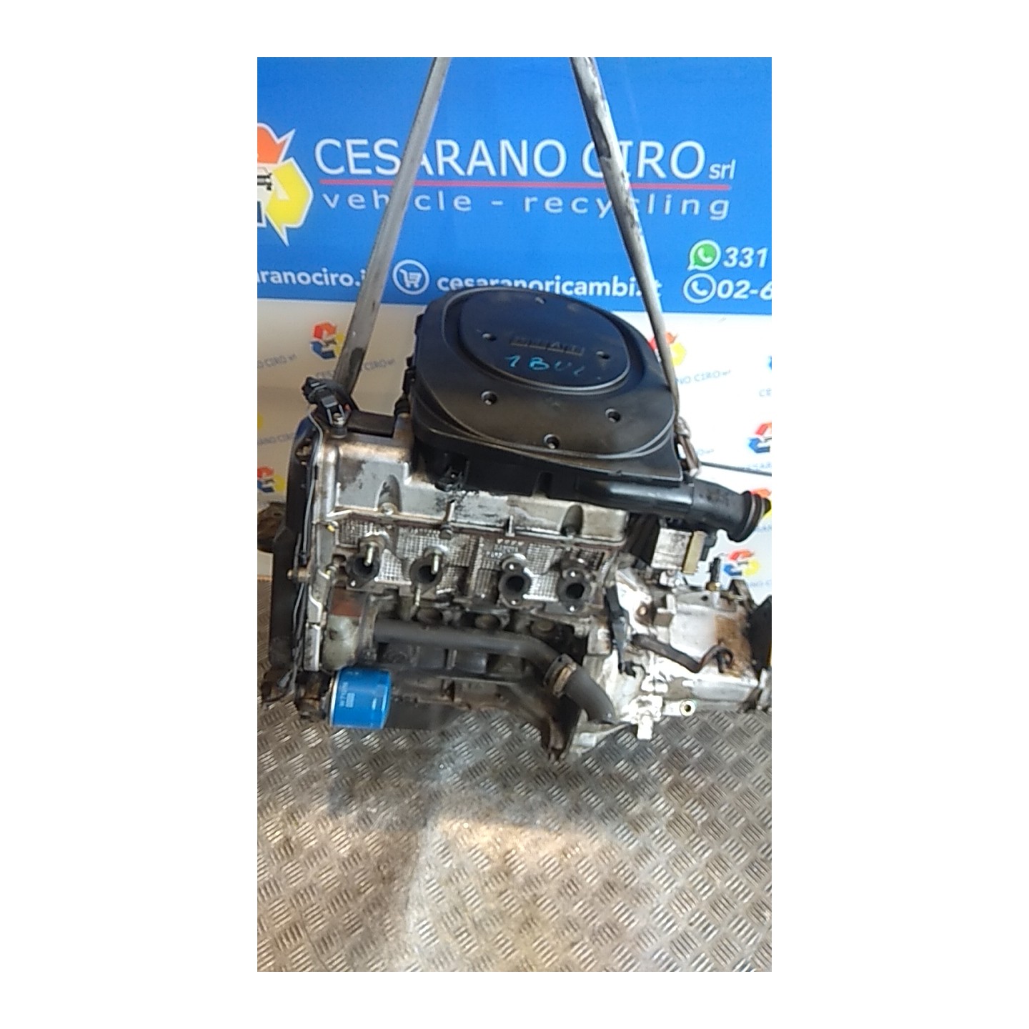 MOTORE SEMICOMPL. 061 FIAT SEICENTO (1E) (02/98-07/05) 187A1000 71718388