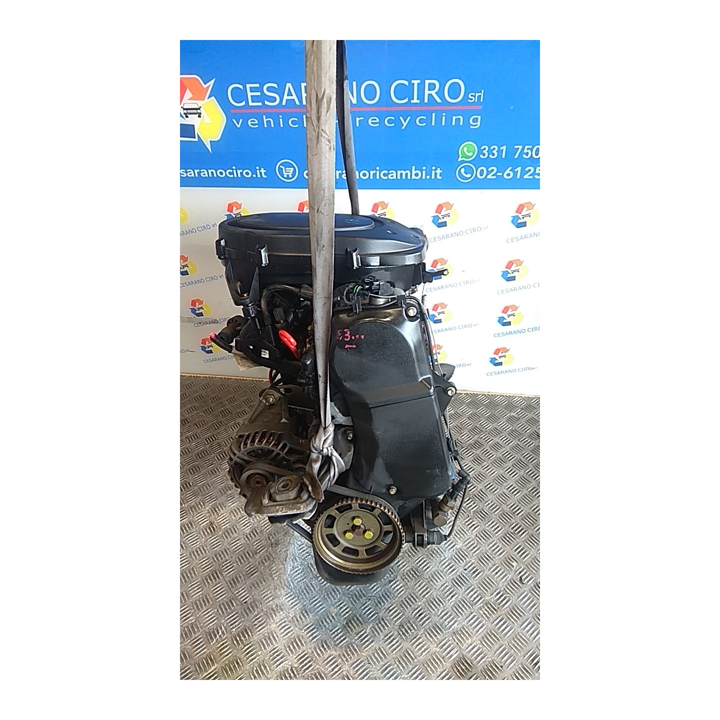 MOTORE SEMICOMPL. 061 FIAT SEICENTO (1E) (02/98-07/05) 187A1000 71718388