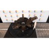 MONTANTE SOSP. ANT. SX. 032 HYUNDAI GETZ (07/02-12/09) G4HD 517151C010