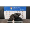 AMMORTIZZATORE ANT. SX. 013 TOYOTA YARIS VERSO (04/00-10/06) 2NZFE 4851059308