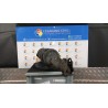 AMMORTIZZATORE ANT. SX. 013 TOYOTA YARIS VERSO (04/00-10/06) 2NZFE 4851059308