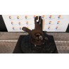 MONTANTE SOSP. ANT. 4FORI SX. 033 PEUGEOT 106 (03/96-04/04) HFX 3644A9