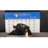 AMMORTIZZATORE ANT. DX. 036 PEUGEOT 1007 (04/05-06/10) 8HZ 5202PX