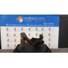 MONTANTE SOSP. ANT. C/MOZZO/CUSCINETTO DX. 090 PEUGEOT 206 (09/98-06/09) KFW 364775