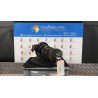 AMMORTIZZATORE ANT. SX. 035 FIAT PANDA (33) (12/11-04/17) 169A4000 51926519