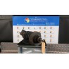 AMMORTIZZATORE ANT. SX. 053 RENAULT TRAFIC (09/06-04/10) G9UB6 8200728279